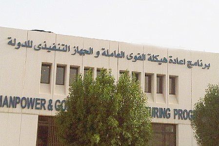"إعادة الهيكلة": 1060 مراجع استفادوا من خدمة البرنامج الآلية