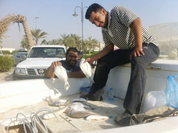 السند: مجرور الچنعد «فسفوري» والسبيطي يزيد دقات القلب