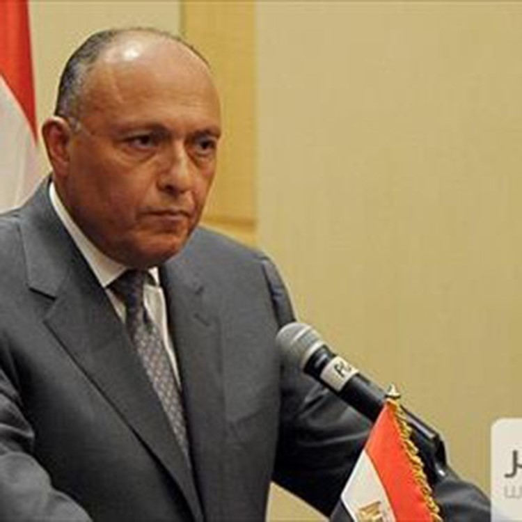 سامح شكري صورة ارشيفية