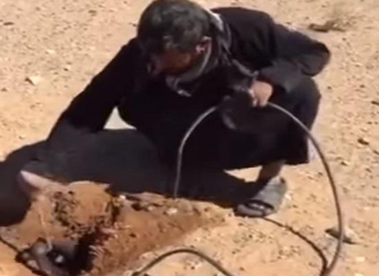 بالفيديو.. سعودي يبحث عن "ضبان" داخل جحر فيتفاجأ بحية تخرج له