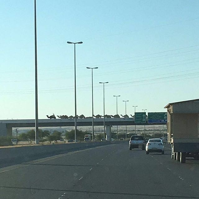 بعارين تعبر الدائري السادس !
