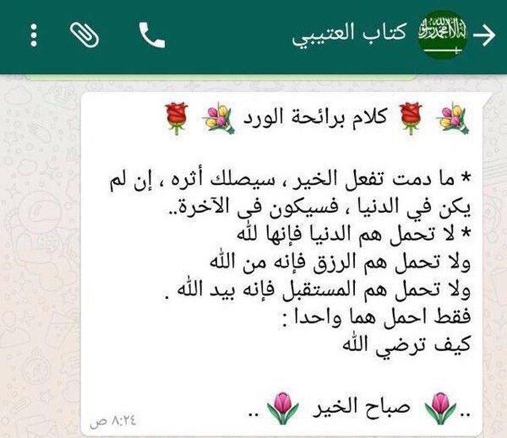بالصورة.. آخر ما كتبه "العقيد السعودي الحمادي" على "واتساب" قبل استشهاده