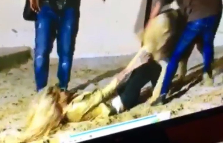 بالفيديو.. فنانة لبنانية شهيرة تصرخ بين أنياب أسد جائع!