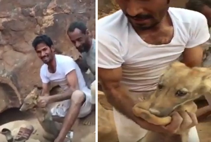 بالفيديو.. مجموعة شباب يصطادون ذئاباً داخل مغارة غرب حائل