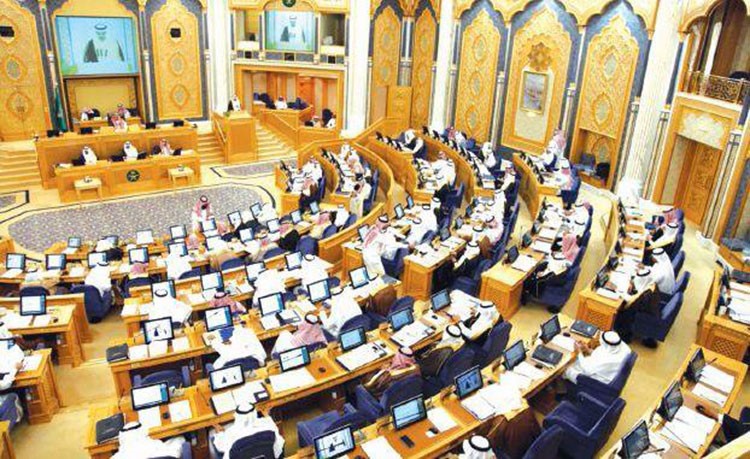 بعد تصريح السيفون.. عضو شورى سعودي يطالب بتدريب الوزراء على التواصل مع الجمهور