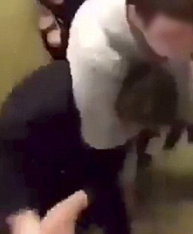 بالفيديو.. طالب يعتدى بوحشية على زميله داخل مدرسة ثانوية