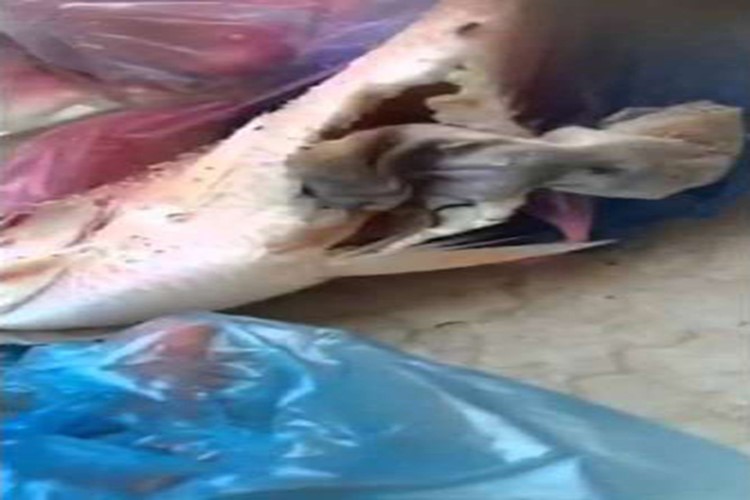 بالفيديو.. هكذا أبطلت هيئة الامر بالمعروف عملاً سحرياً وجده سعودي داخل احشاء سمكة !