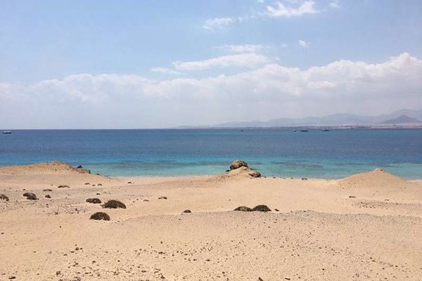 بالصور.. سعودي  يزور جزيرة تيران وهذا ماشاهده 