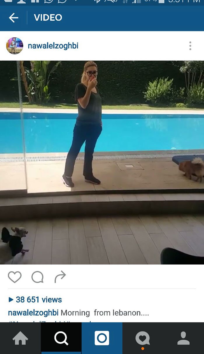 نوال الزغبي  تفقد أعصابها عقب تعرضها للإهانة على "انستغرام".. بماذا ردت ؟