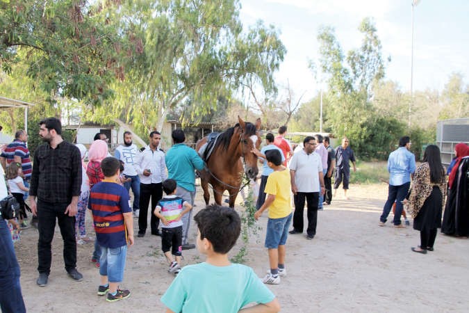 جانب من فعالية الخطوط التركية