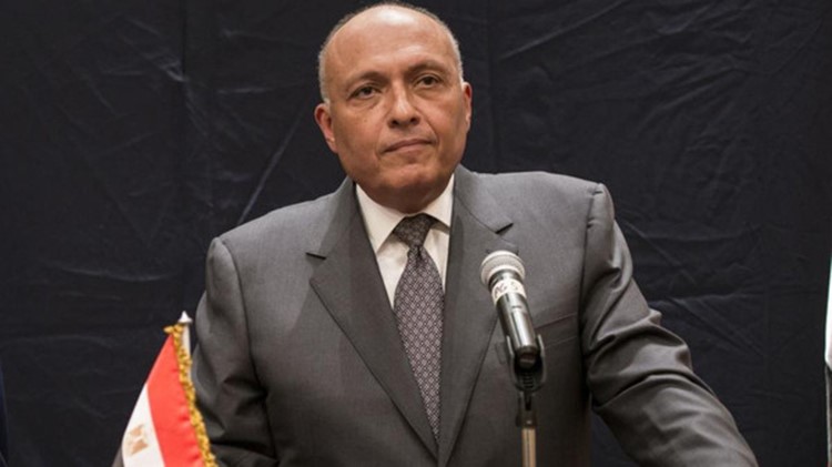 سامح شكري