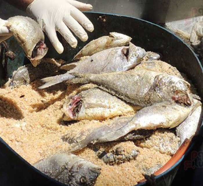 بالصور.. "الداخلية المصرية" تضبط 410 أطنان فسيخ فاسد قبيل طرحها بالأسواق فى شم النسيم