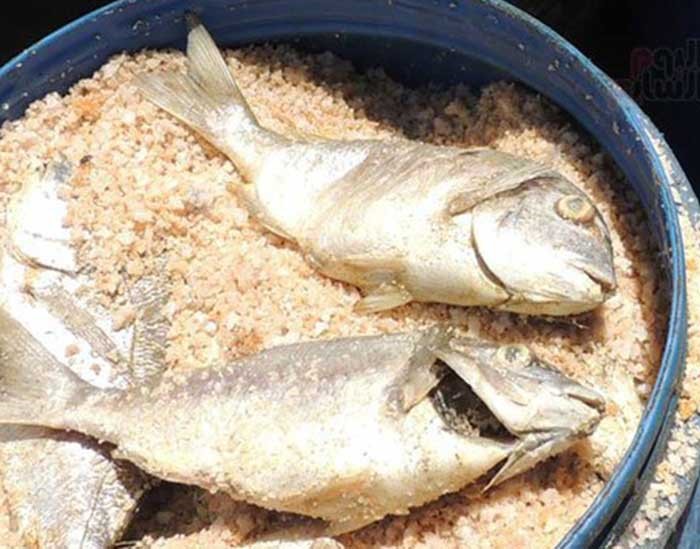 بالصور.. "الداخلية المصرية" تضبط 410 أطنان فسيخ فاسد قبيل طرحها بالأسواق فى شم النسيم