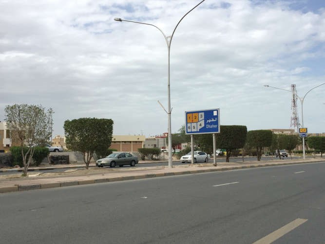 دليل قطع منطقة الظهر ﻿