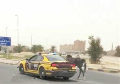 الحصان بعد السيطرة عليه
