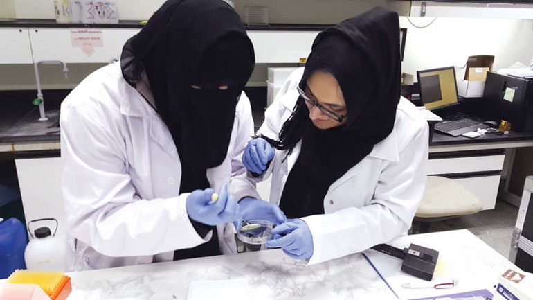 نواب لـ «الأنباء»: مجلس الأمة مستعد لإقرار أي تشريعات تساهم في تطوير البحث العلمي