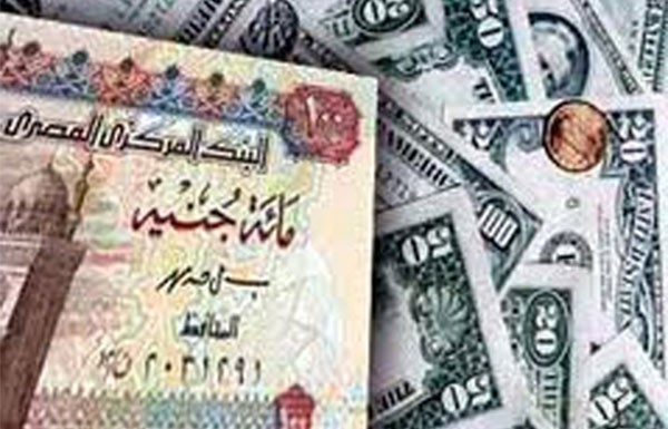 الدولار يعاود الارتفاع في السوق الموازية إلى 11 جنيهاً والدينار 29.56