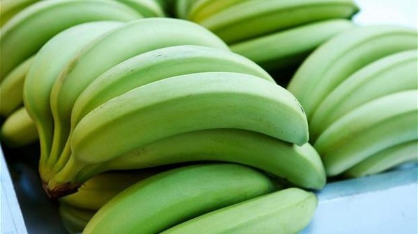 8 فوائد ذهبية للموز "الأخضر".. فاحرص على تناوله يوميا