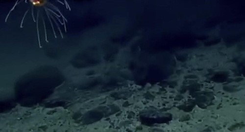 بالفيديو.. أعمق نقطة في الكرة الأرضية