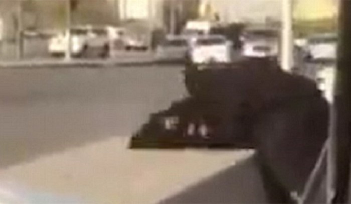 وحين انقضت عليها فوق الفاصل الاسمنتي، راحت تضربها بقبضتها وسددت اليها نطحة
