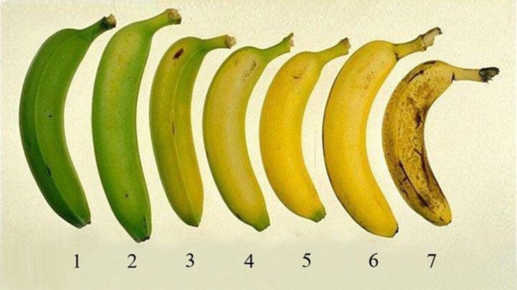 فوائد الموز تتغير بتغير لونه.. اكتشفها!