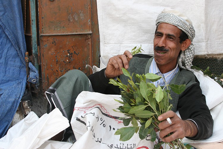 بالفيديو.. "القات" ممنوع في عدن إلا الخميس والجمعة!