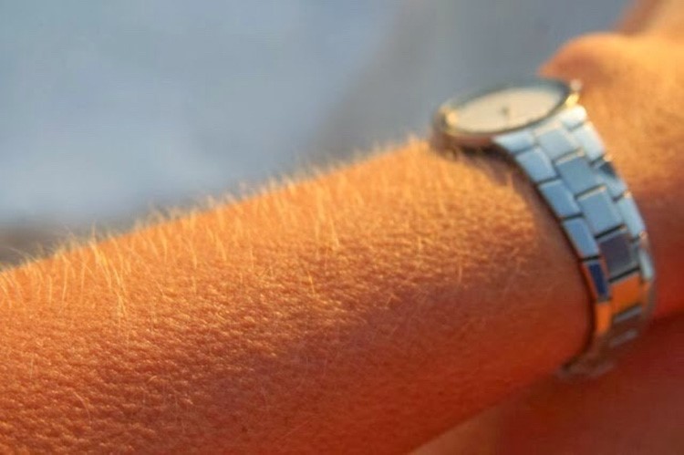 بالصور.. 8 أعضاء في الجسم يمكنك العيش بدونها؟