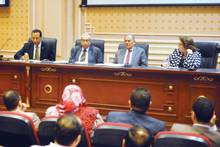 جانب من اجتماع لجنة حقوق الانسان البرلمانية