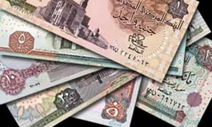 ضبط 12 عصابة من سماسرة التحويلات