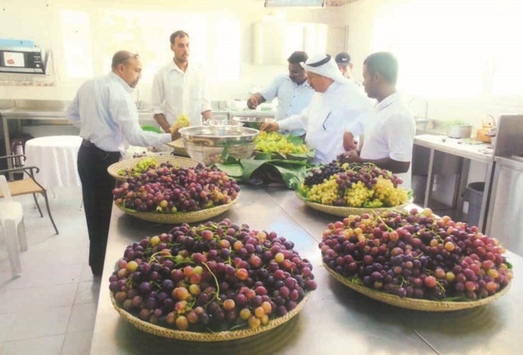 انتاج متميز من العنب في مزرعة بوخمسين في العبدلي

