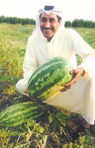 الرقي في مزرعة فيصل الدماك بالوفرة