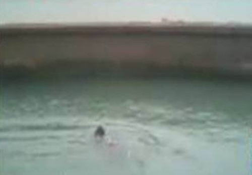 بالفيديو.. "عناق" يتسبب في وفاة سائح وحارس معاً