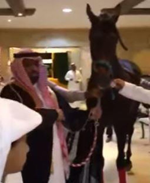 بالفيديو.. سعودي يفاجئ المدعوين بهدية غريبة لصديقه العريس أثناء حفل زفافه 
