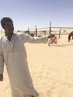 انذار لاحد الجواخير