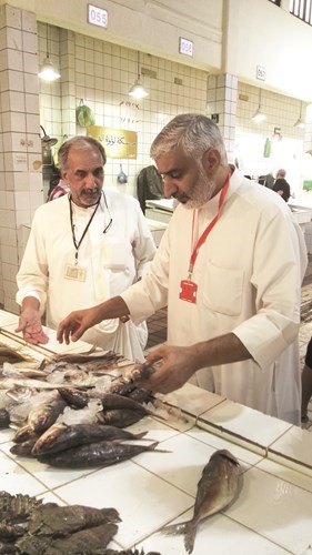 فحص ظاهري للاسماك خلال الحملة
