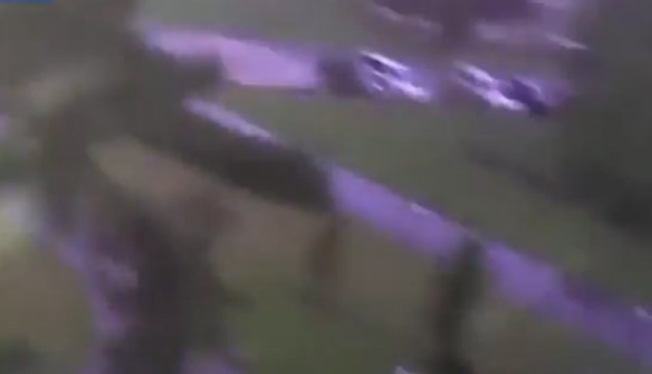بالفيديو.. دب يظهر مهاراته في لعب كرة القدم