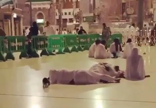فيديو طريف لقطّة داخل الحرم توقظ معتمراً لتسترد حاجة لها