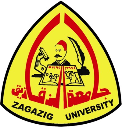 طلبة الكويت بحثوا مشاكل الدارسين بجامعة الزقازيق