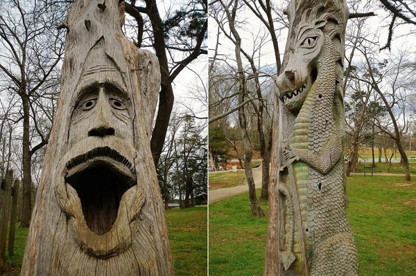 أشجار دمرتها الأعاصير تتحول إلى تماثيل فنية