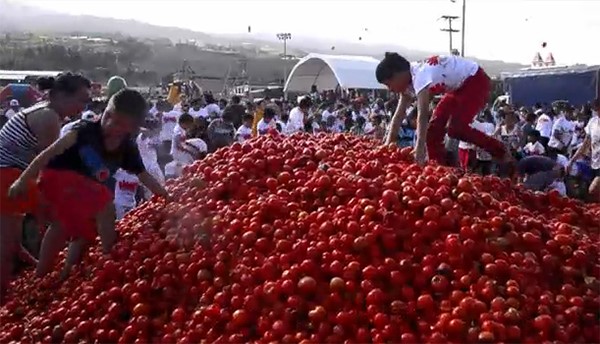 بالفيديو.. الاحتفال بمهرجان التراشق بالطماطم "توماتينا" في كولومبيا 