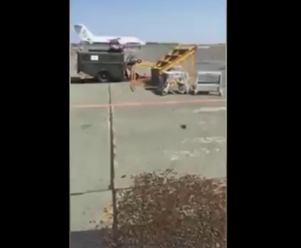 بالفيديو: سرب من النحل يحتل قاعدة جوية بريطانية