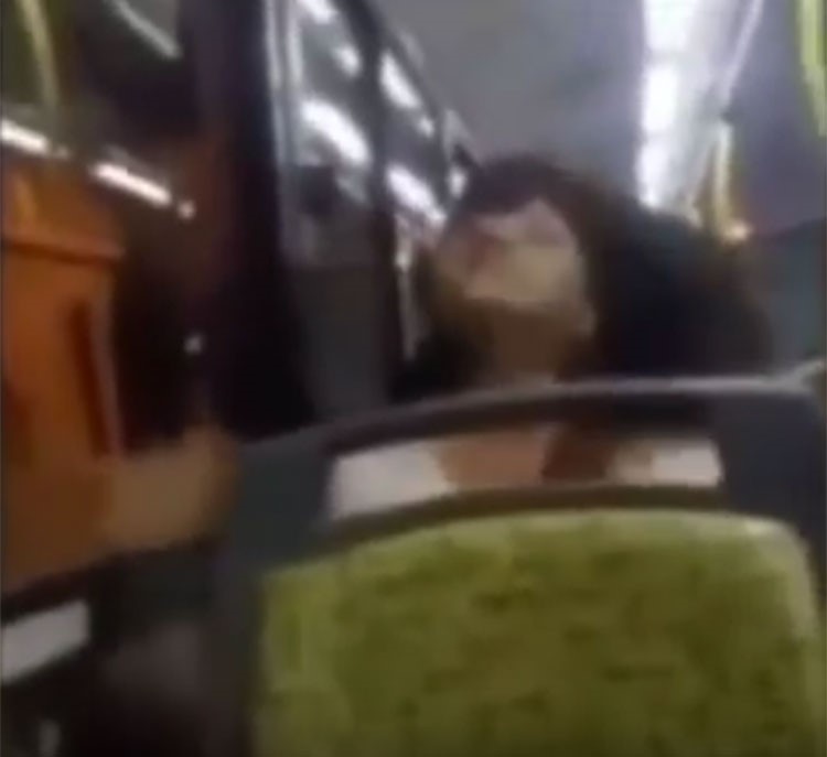  بالفيديو.. امرأة مسكونة تثير الرعب بين ركاب حافلة الذين ركضوا هاربين 