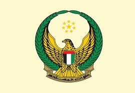 استشهاد طيار إماراتي ومساعده إثر سقوط طائرتهما العسكرية في المياه الدولية
