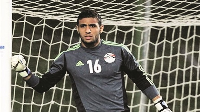 احمد الشناوي