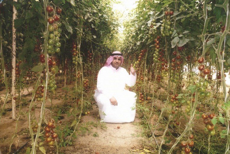 في صفحة "الانباء" الزراعية اليوم.. زيادة أسعار الكهرباء والماء.. ترفع أسعار الخضراوات والثمريات المحلية