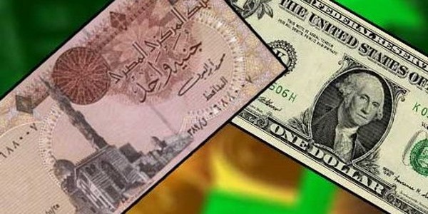 الدولار يتخطى الـ 11 جنيهاً