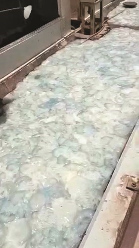 جانب من القناديل التي جمعت من محطة الشعيبة﻿