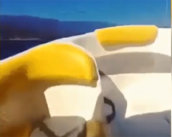 بالفيديو.. امرأة تختفي بشكل غامض من على متن قارب