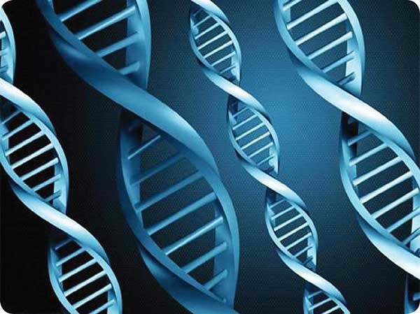 الشريط الوراثي DNA جميع معلومات الحياة موجودة عليه!