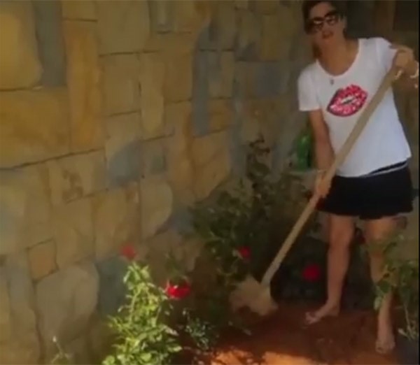 بالفيديو.. باسكال مشعلاني تزرع وردا بحديقة منزلها